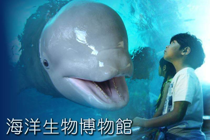 找不到圖片