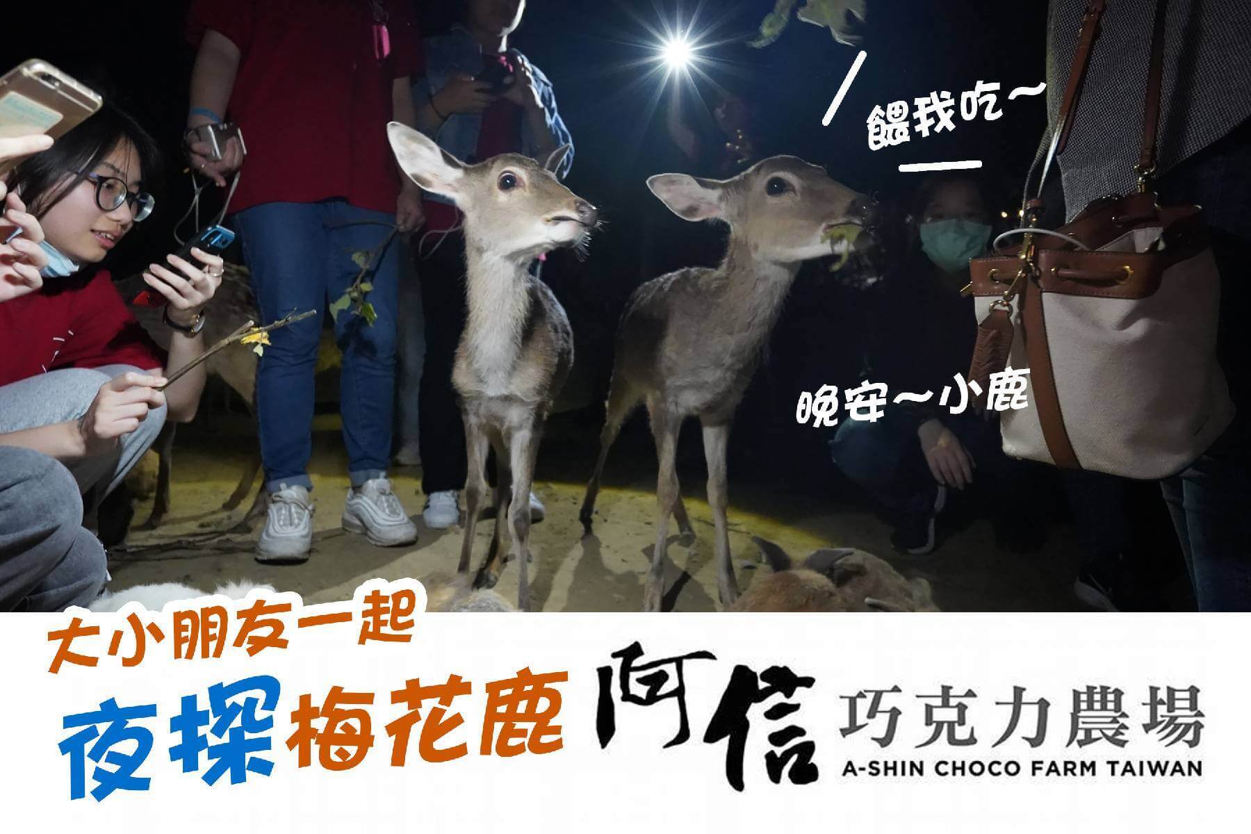 找不到圖片