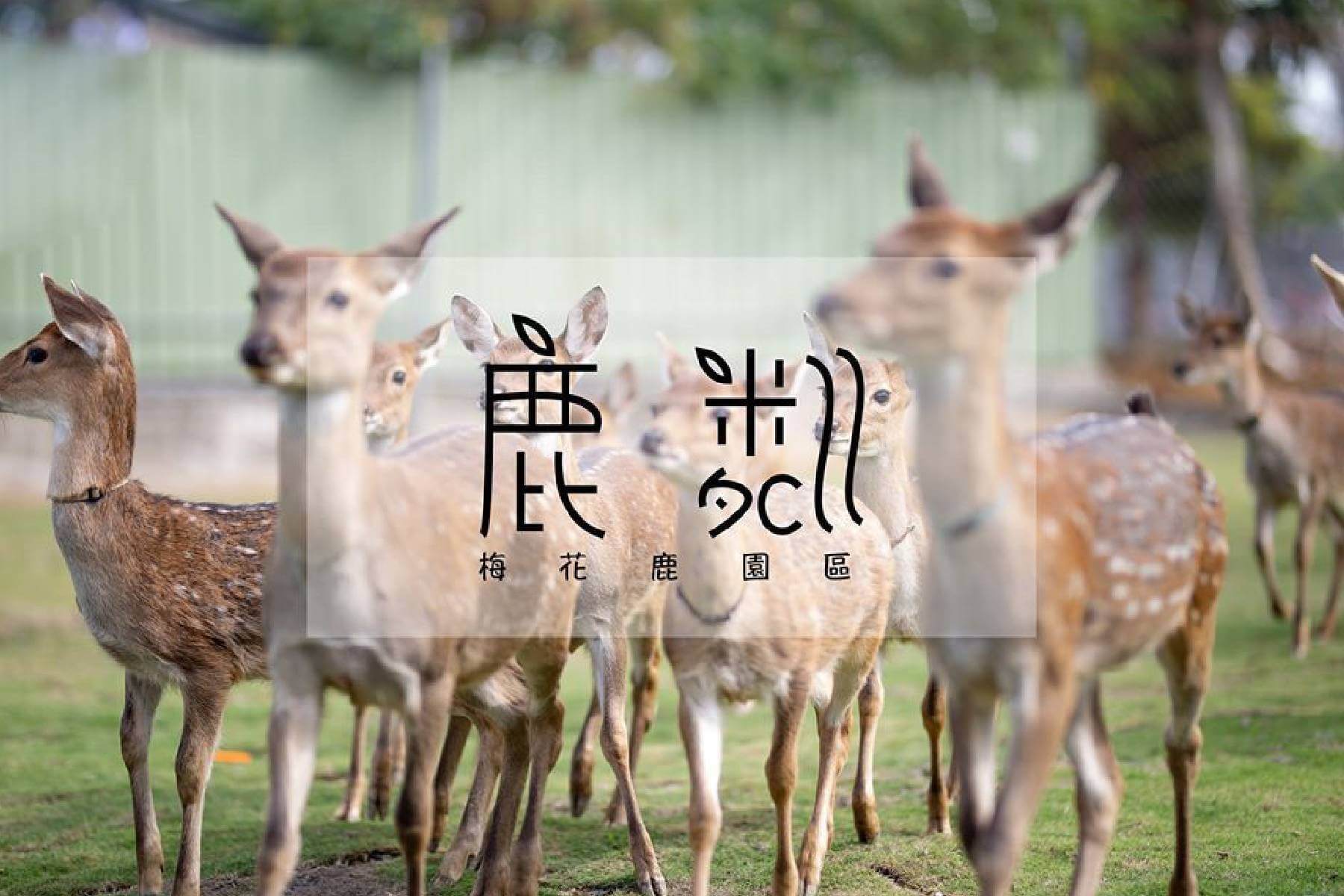 找不到圖片