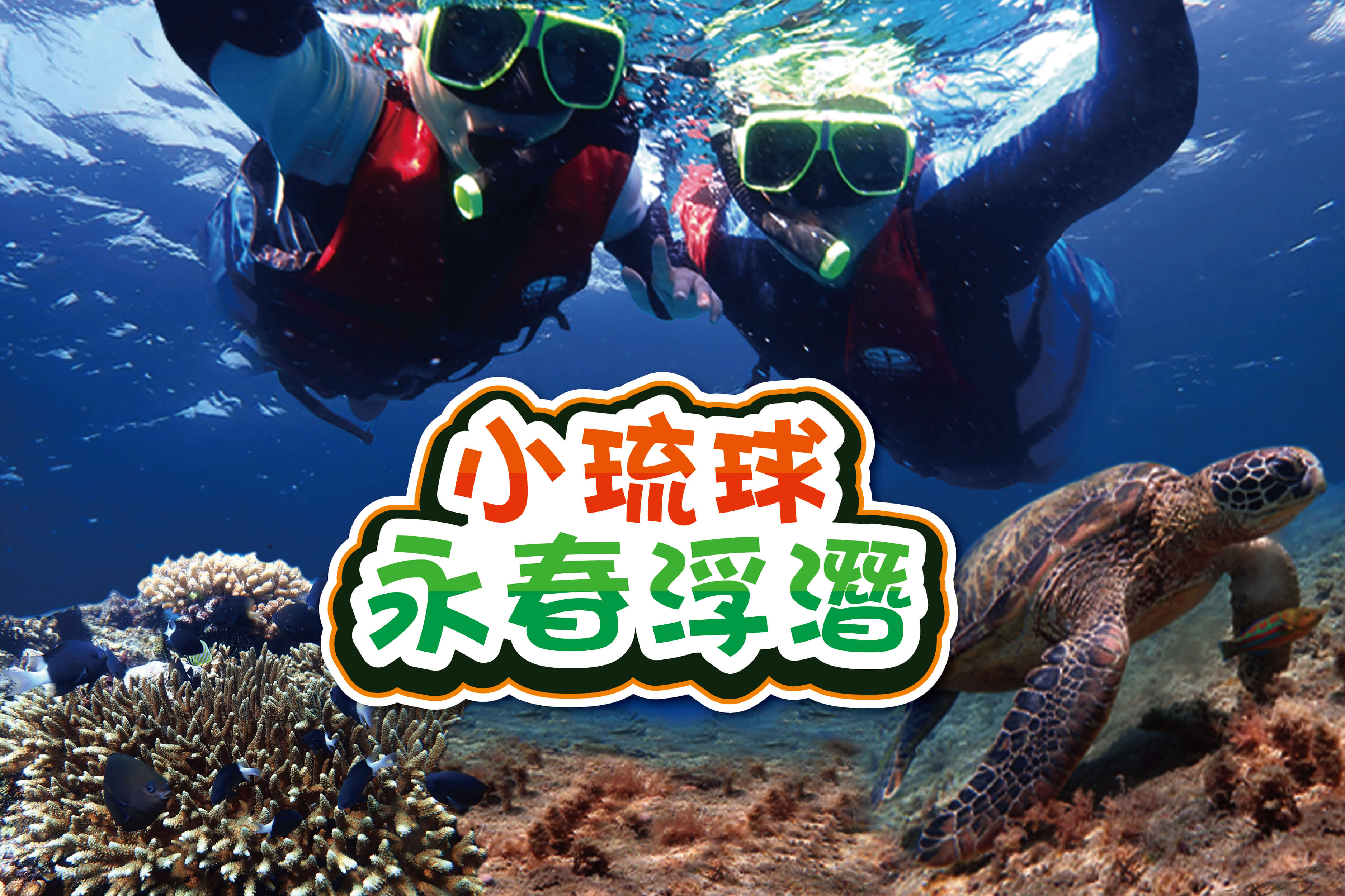 找不到圖片