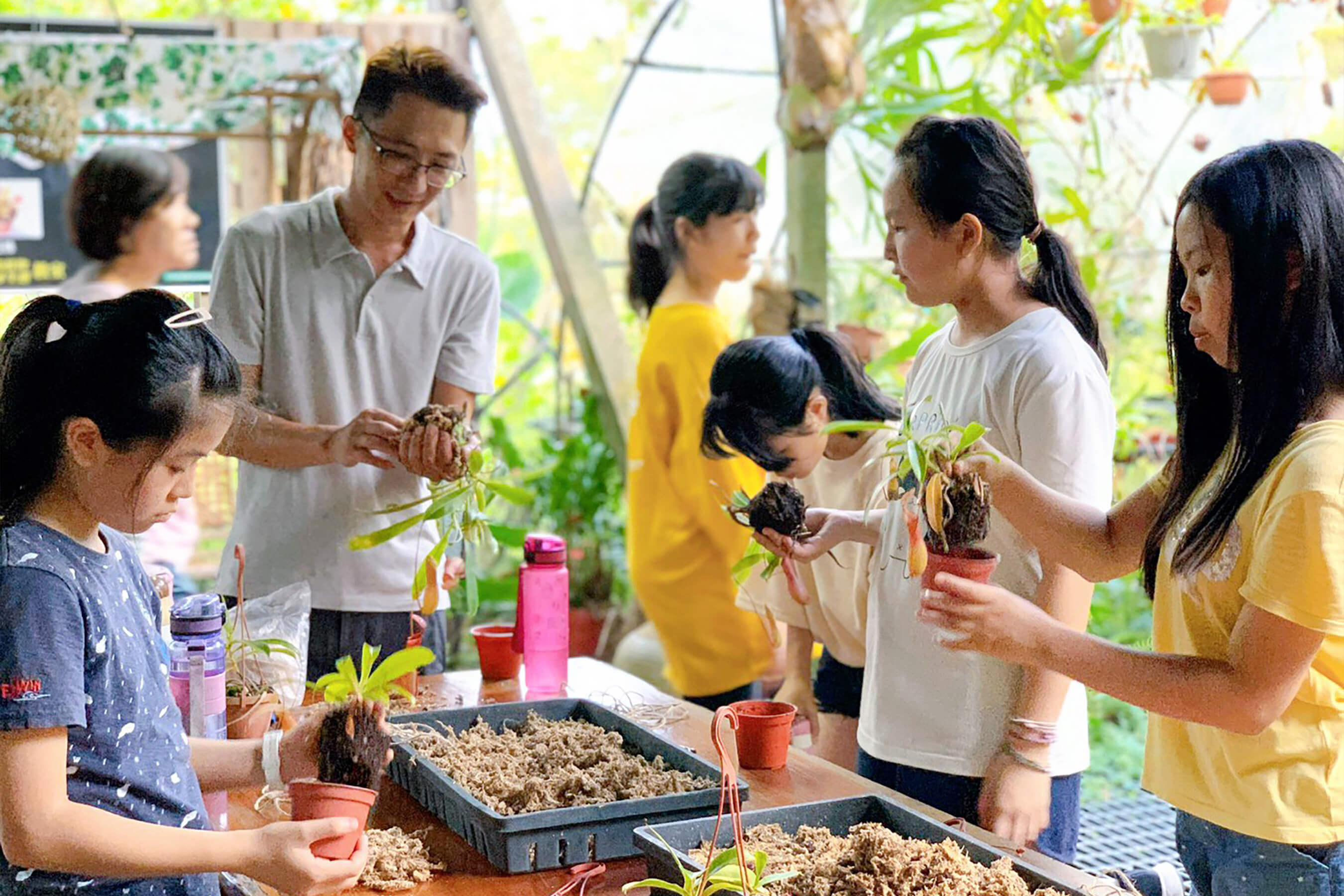 找不到圖片